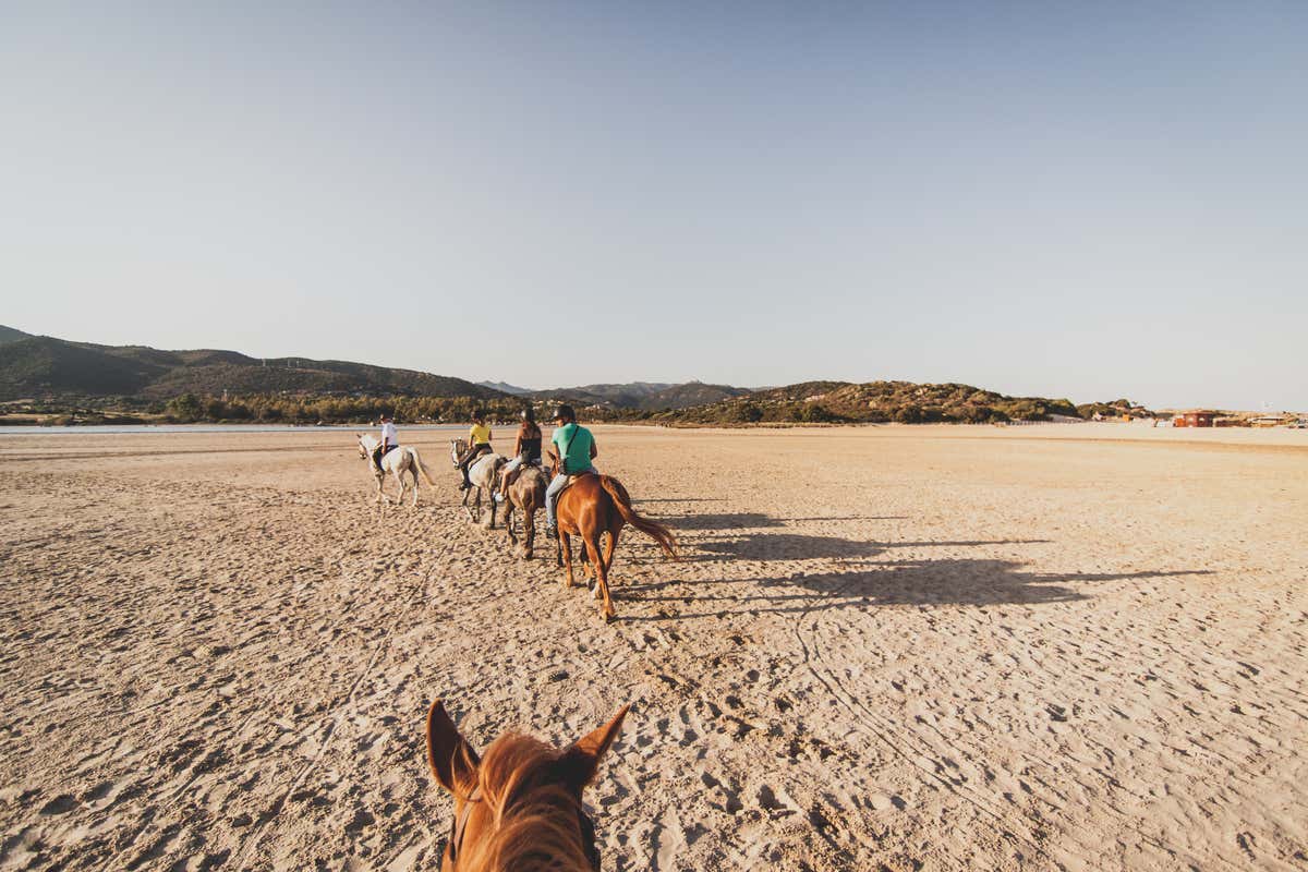 La Sardegna più magica? Anche ad ottobre, tra le spiagge segrete di Chia e mirto in fiore La Sardegna più magica? Anche ad ottobre, tra le spiagge segrete di Chia e mirto in fiore